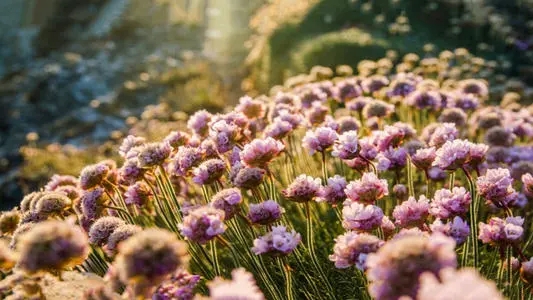 移动物联网卡如何激活和使用